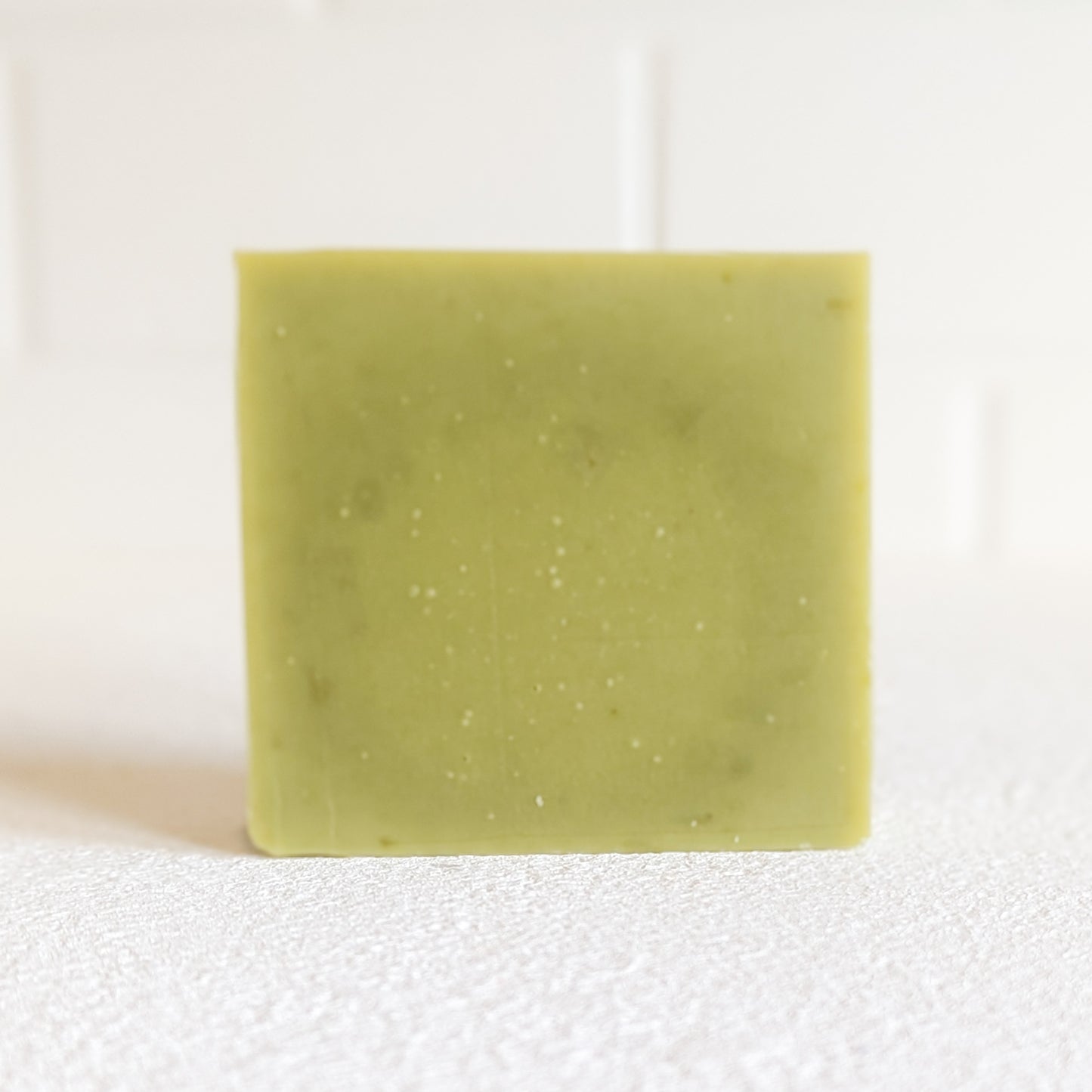 Aloe-Vera & Moringa