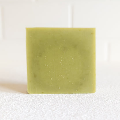 Aloe-Vera & Moringa