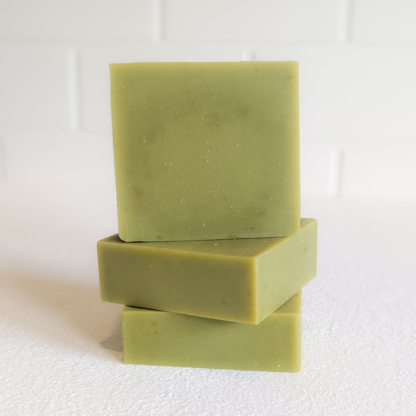Aloe-Vera & Moringa